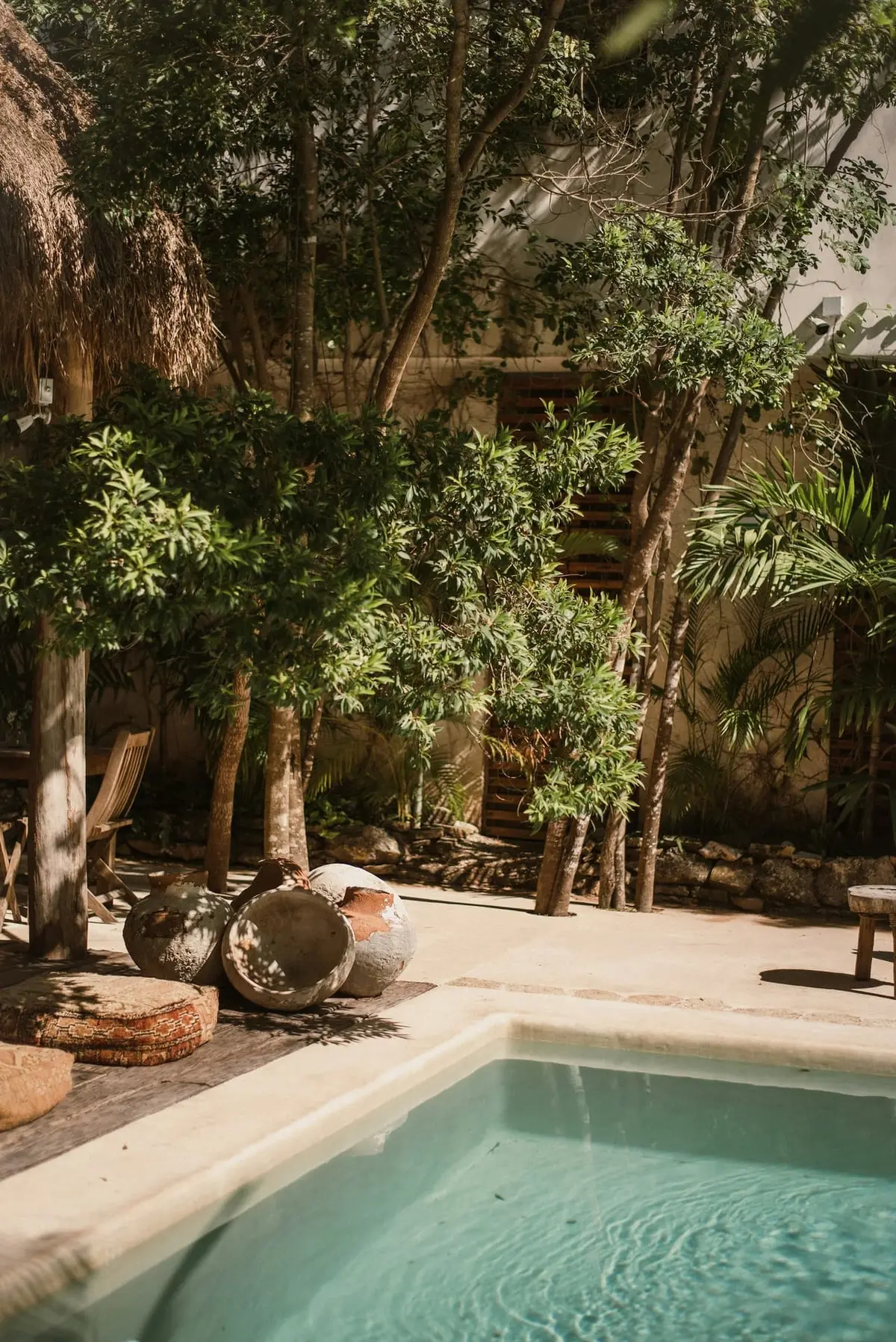 Piscina e jardim